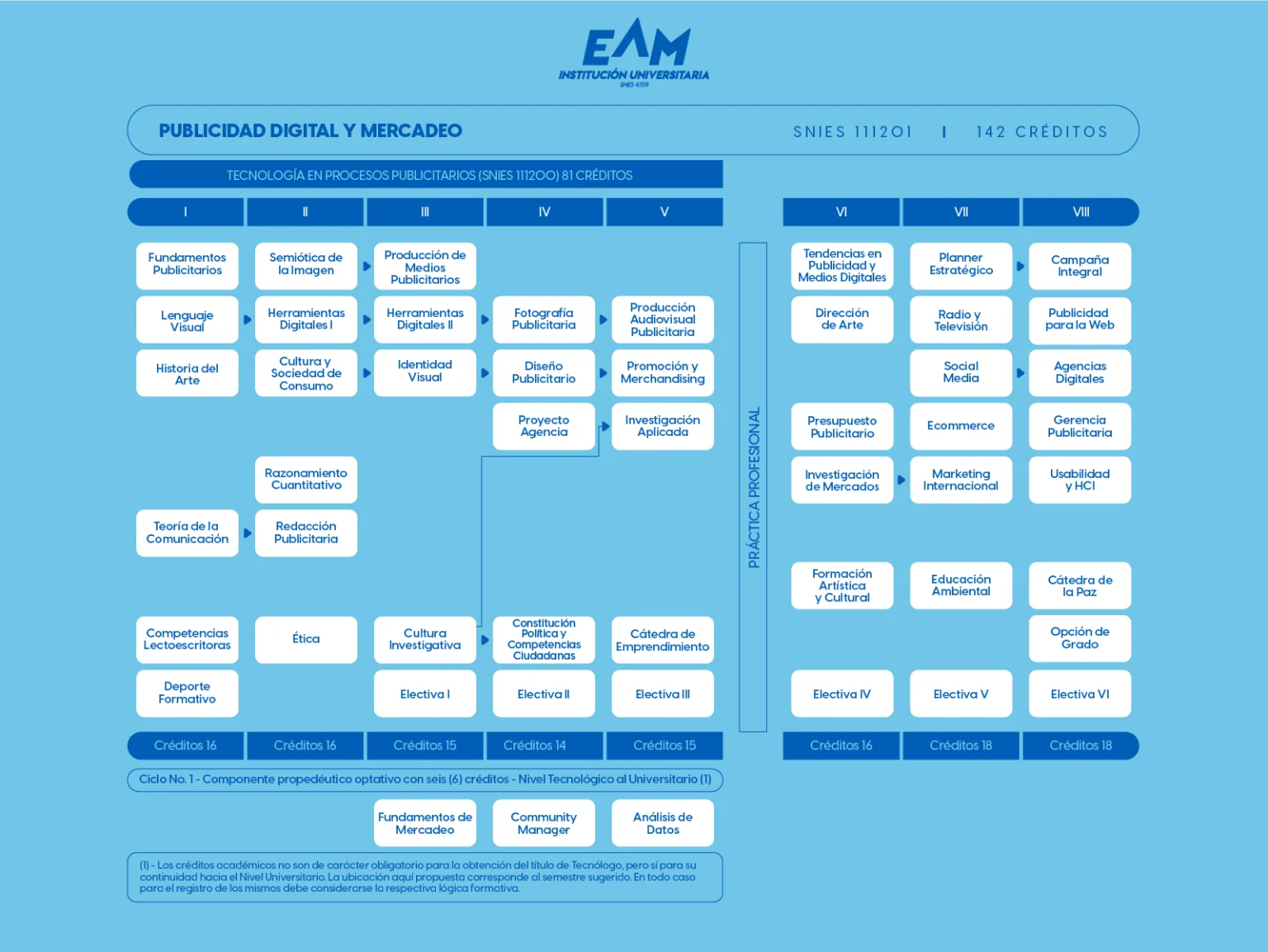 Plan de estudios Publicidad Digital y Mercadeo