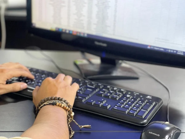 Estudiantes y docentes de Administración de Negocios Internacionales certifican curso en el exterior