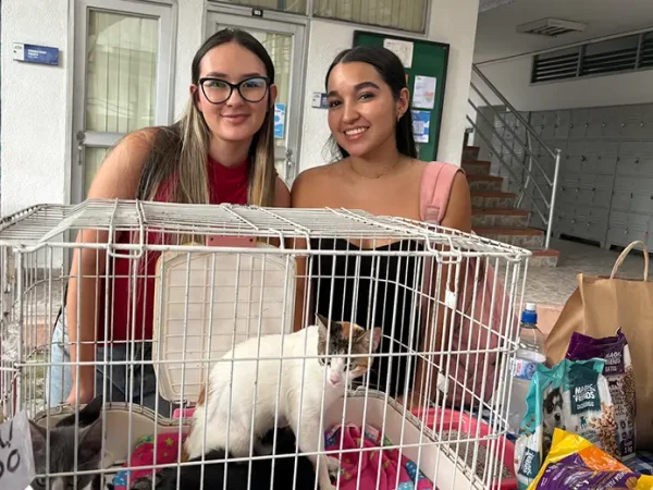 Campaña Bienestar Animal
