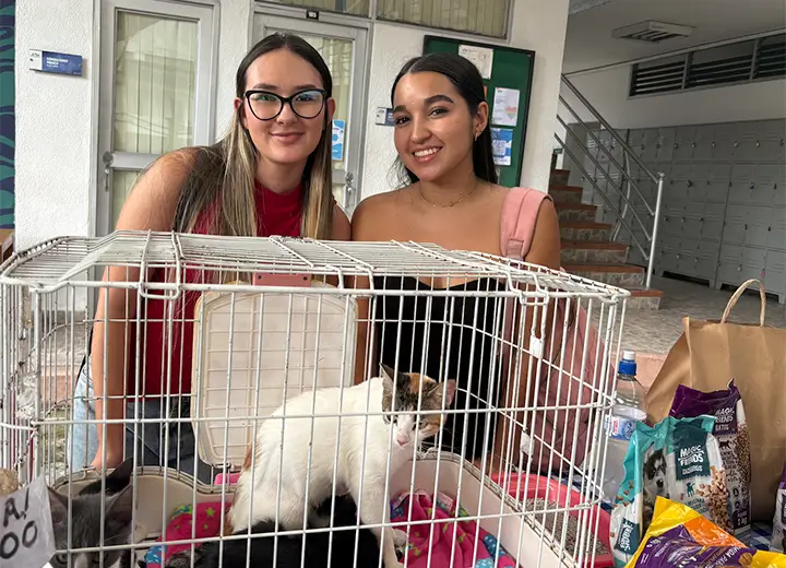 Campaña Bienestar Animal